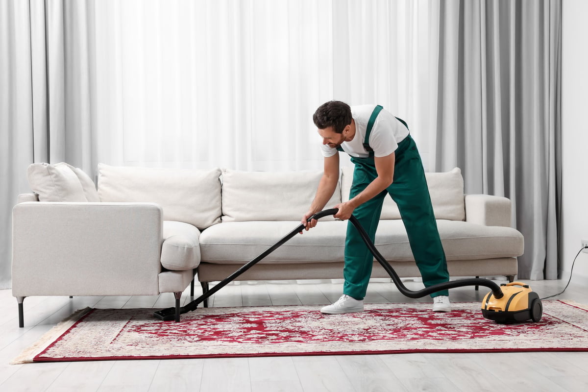 Dry cleaner's employee vacuuming carpet in a room